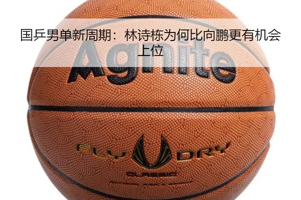 img_1783241148965_385_2_183.jpg
